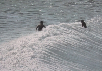 「サーフィンする若者ときれいな海」